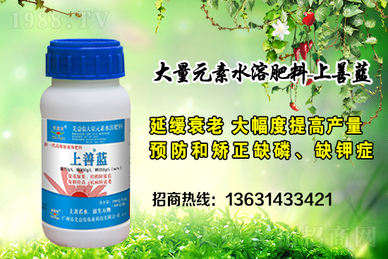 �V���������r(n��ng)�ٶȔy��1988.TV���y�ֹ���(chu��ng)��(zh��n)��(j��)��