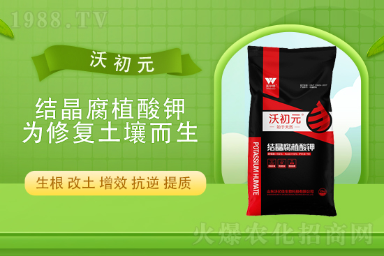 ���؎���»���2021��9��15�Շ���(n��i)���������߄�