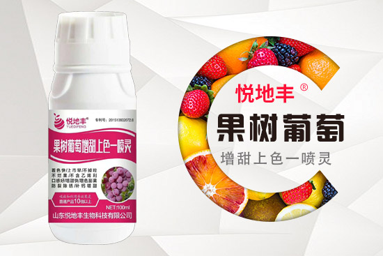 ����(sh��)ʩ��