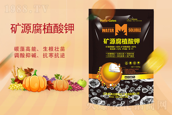 2021��9��23��⛷ʃr�������߄�