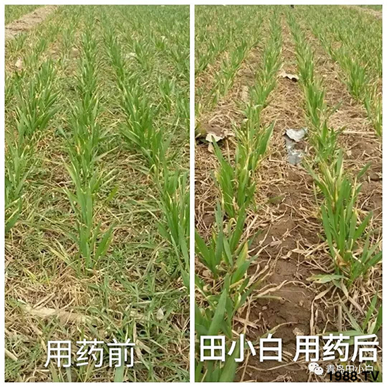 С���s�ݣ���(ji��)��(ji��)�����E�ɞ�����ô�k��С�����݄���ô�x