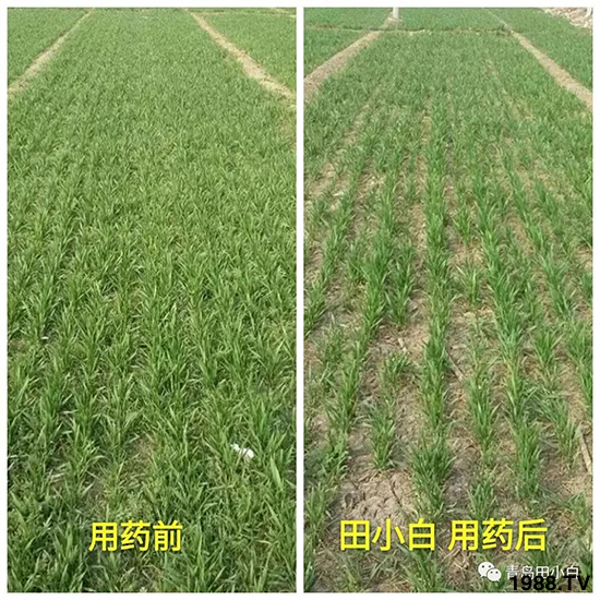 С���s������(ji��)��(ji��)�����E�ɞģ���ô�k��С�����݄���ô�x