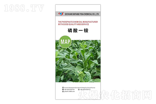 ���@�r��߀���q����2022�����@�r���߄ݷ���