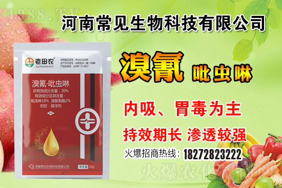 �������x��