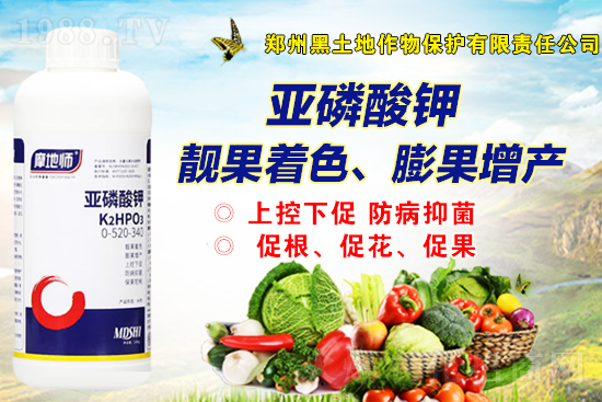 2022��2��19�����@��r�Ƕ�����