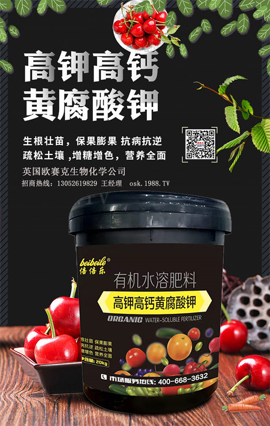 һ���S�����=�����������������ЙC(j��)�����S����⛞�����������