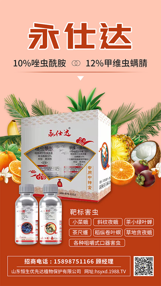 С�˶��η����y��С�˶�Σ���Y����δ�ʩ��