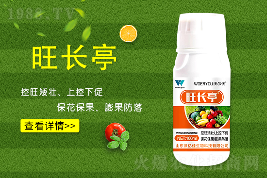 ʲô���S�����L���S�����L�ķ��ش�ʩ