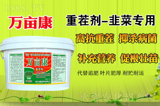 �²�ʲô�r(sh��)��N�����m������¶�ؾ²˹���������ע�����(xi��ng)