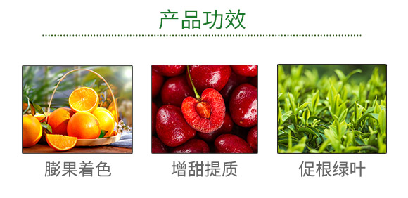 ������ʩ������Ƽ����޹�˾923599_03