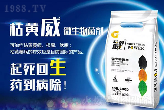 ���Sή�����ݵȲ������Ӝ皢�������͉�����