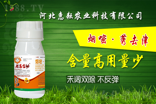 �⚢�pЧ�����ͨ�������������ӛס�@��(g��)�䷽�͉���! 