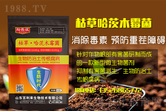 ���������l(f��)��ô���Σ���������ʲôˎ�÷���Ч������