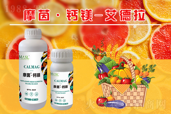 �����a(b��)�}�S���ځ���������a(b��)���}�V����