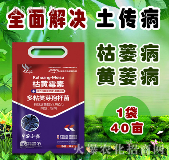     �����Բ�������Щ������ˎ����ô�x��һƪ�����f����