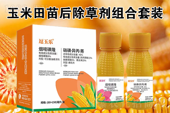 ���׳��݄���ô�������Ч��