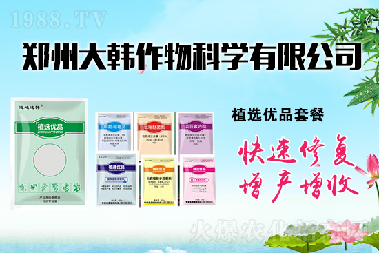 ����ˎ���ʺ��l�l(f��)��ô�k���l(f��)��ˎ���ʺ�����a����