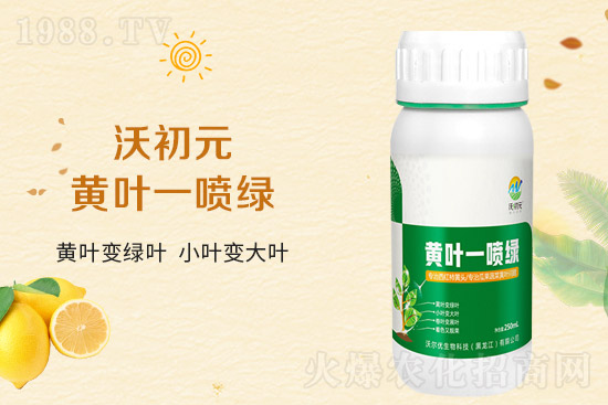 �����~Ƭ��ʲô�l(f��)�S��