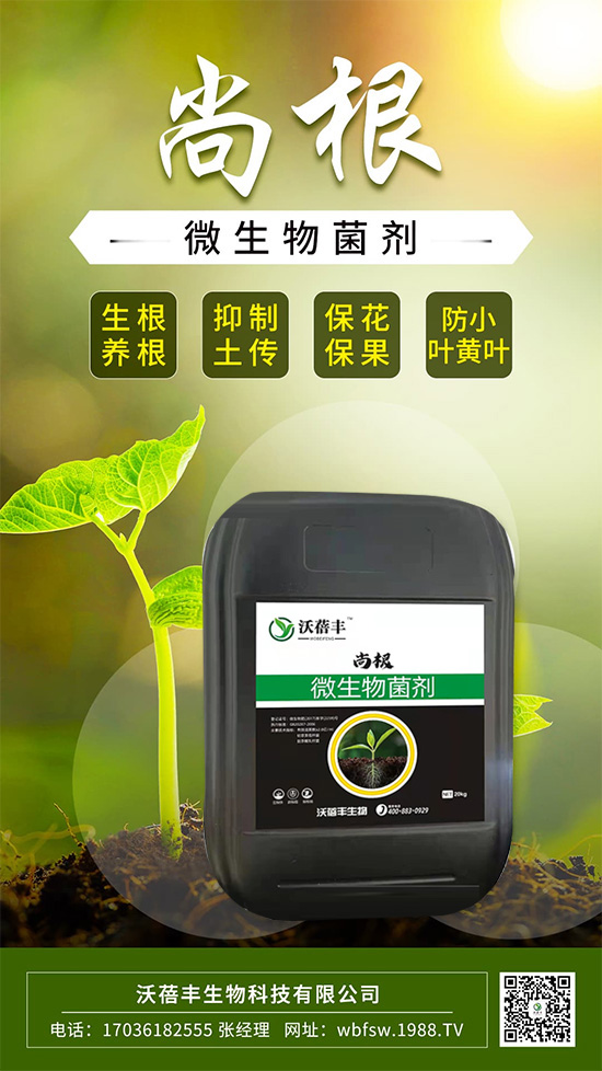 ��ô����׌���������Ѹ������@����׌��������������