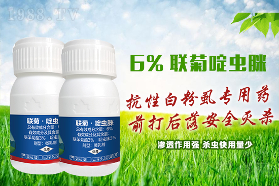 ���԰׷�ʭ�y�����y�Σ��@����ˎ�x���p�������x��