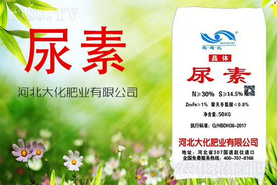 ���ص����ܲ������~�������ô����