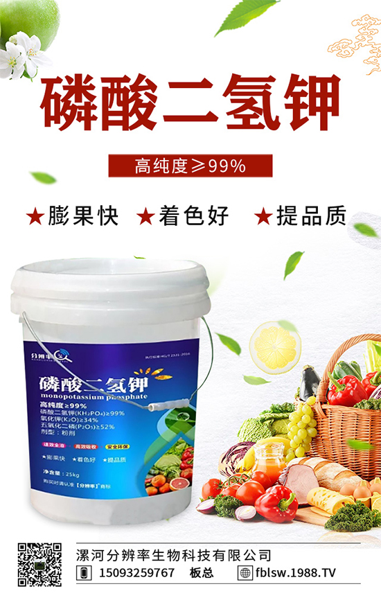 �~��ʵć�ʩ�`�^(q��)���@���c�e������