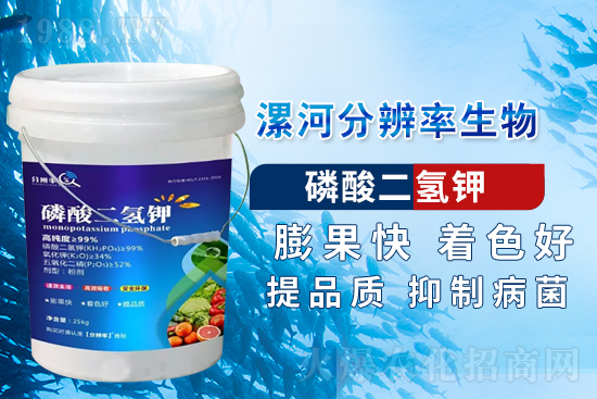 �~��ʵć�ʩ�`�^(q��)���@���c�e������