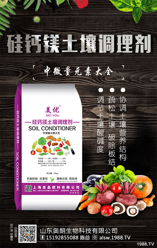 �����{(di��o)��