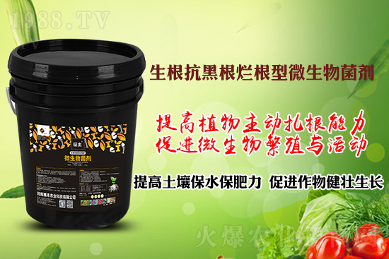 ����ڸ��������S�������l�l(f��)���á������p�ɽ�Q�����f(w��n)�Nֲ����������