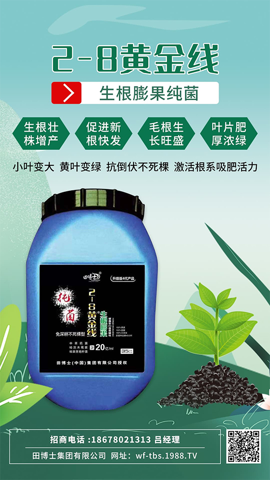 ���Ƿʵ��죬�f�����L(zh��ng)����ϵ�����ﱬ�l(f��)����ԇԇ�@һ��! 