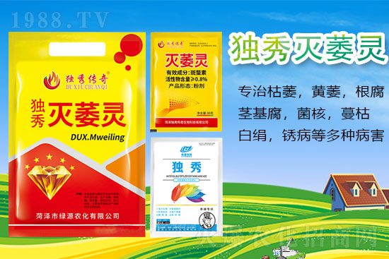 ɽ�|�ʝ��оGԴ�r�����޹�˾9