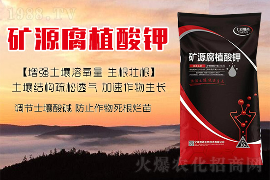 ����Nֲ��������(d��ng)�ׂ��������Ӹ��Ƹ�ϵ��r����