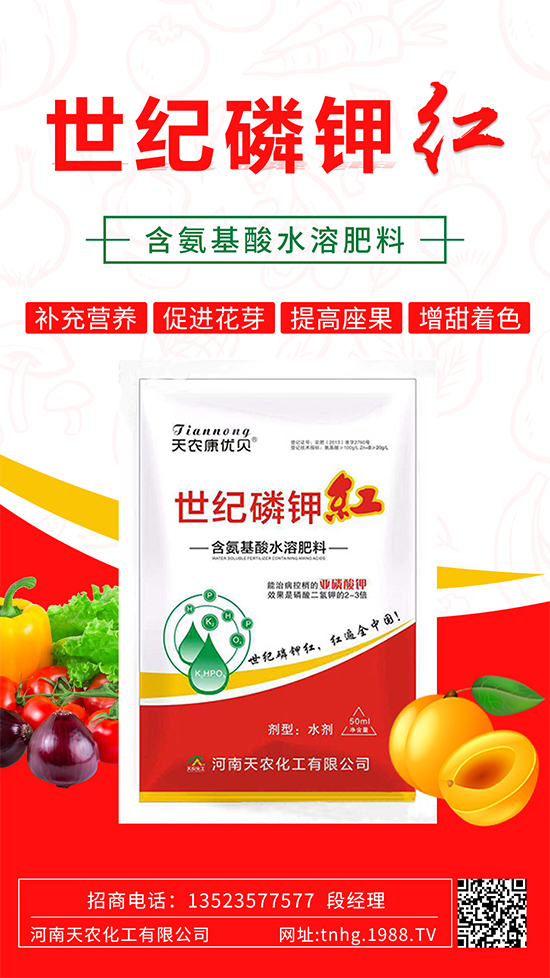 ���������ʲô���������˽����