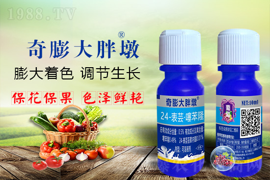     ������Ҫ�߮a(ch��n)��������P(gu��n)�I�����������졢�D(zhu��n)ɫ�����u��������ڵĮa(ch��n)����Ʒ�|(zh��)�����������S��Ĺ��r(n��ng)���r(n��ng)������ӳ�Լҵ���������ס���������������������������������ܛ���չ�����r�l���l(f��)����