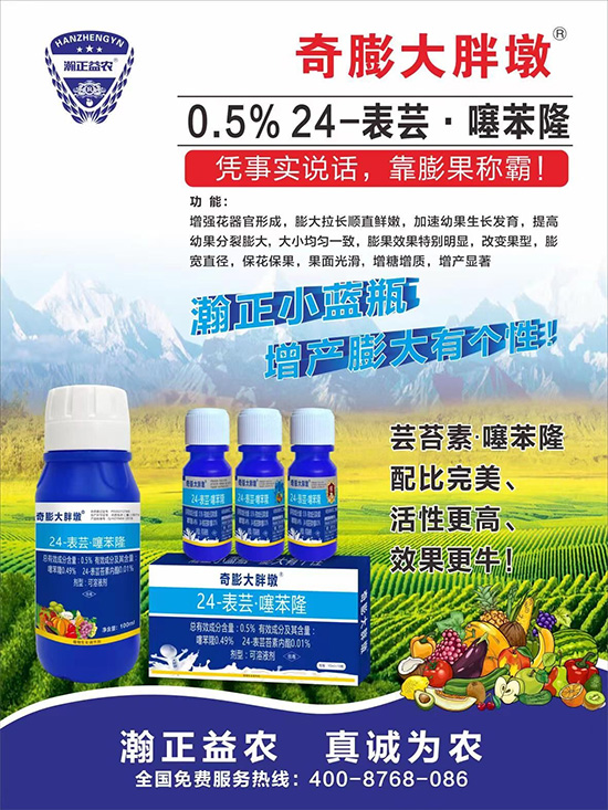     ������Ҫ�߮a(ch��n)��������P(gu��n)�I���������������D(zhu��n)ɫ�á��u��������ڵĮa(ch��n)����Ʒ�|(zh��)���С������S��Ĺ��r(n��ng)���r(n��ng)������ӳ�Լҵ���������ס���������������������������������ܛ���չ�����r�l���l(f��)����