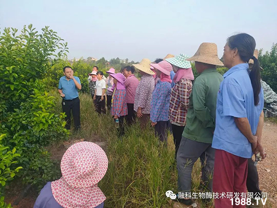 ���M(j��n)���g���^���������ٮa(ch��n)�I(y��)