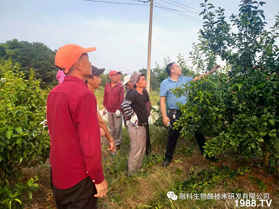 ���M(j��n)���g���^���������ٮa(ch��n)�I(y��)