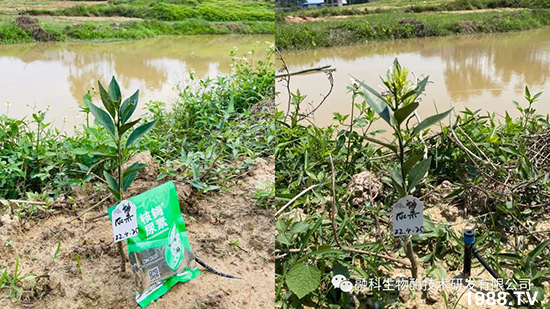 ���M(j��n)���g���^���������ٮa(ch��n)�I(y��)