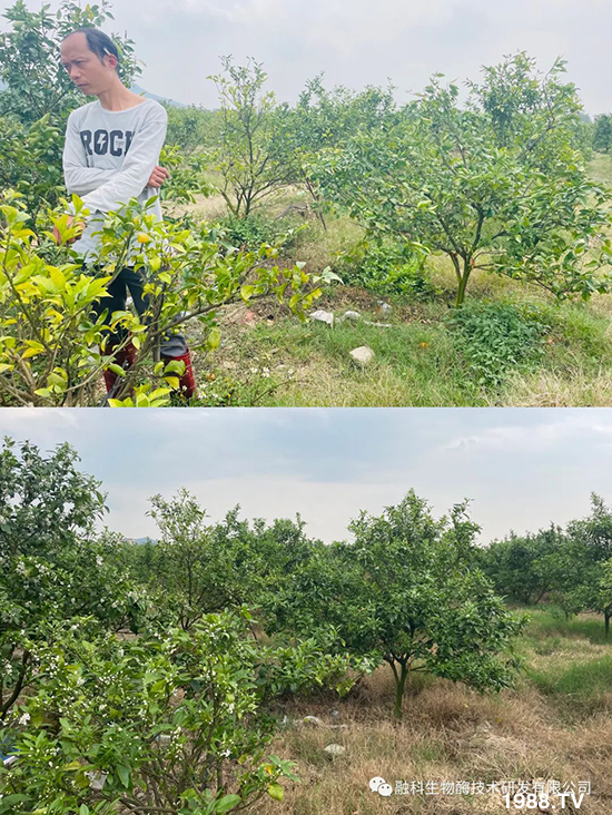 ���M(j��n)���g���^���������ٮa(ch��n)�I(y��)