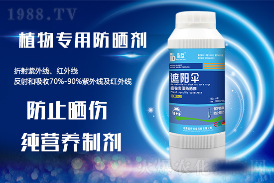 �ߜ������u������������E�[���쿴�������ˆ�? 