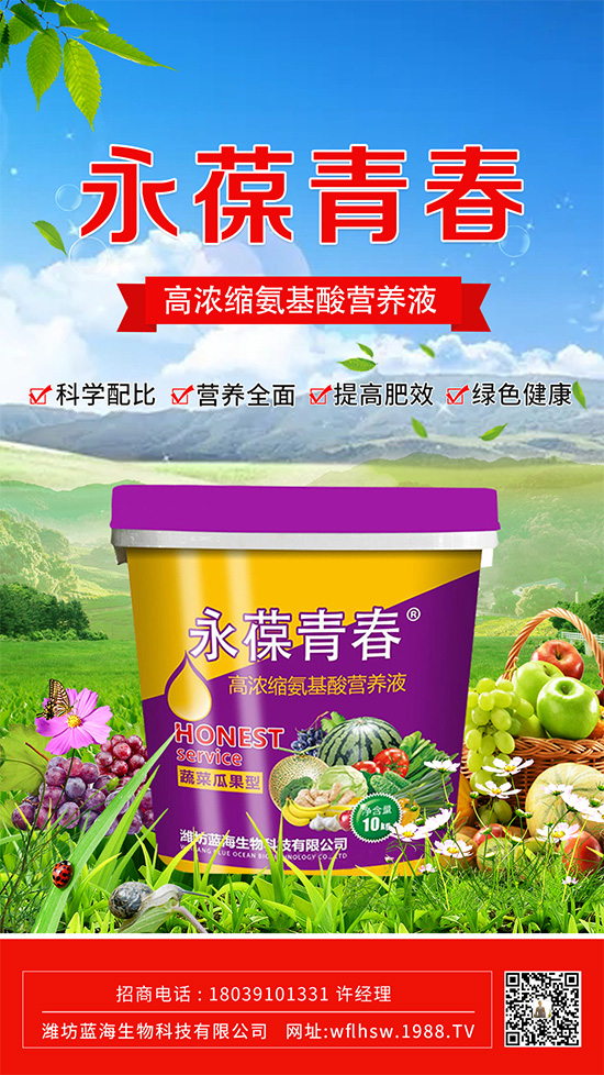 ����(sh��)�������ķ��c����ע�����´�ʩ��