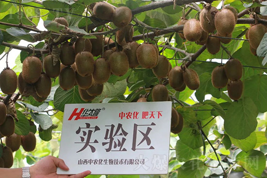 �J����������c(di��n)����Щ���J����������ôʩ