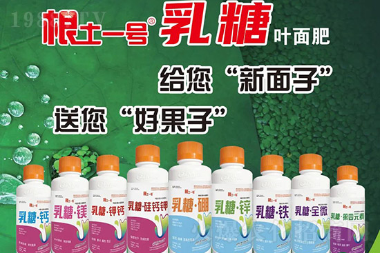 �J����������c(di��n)����Щ���J����������ôʩ