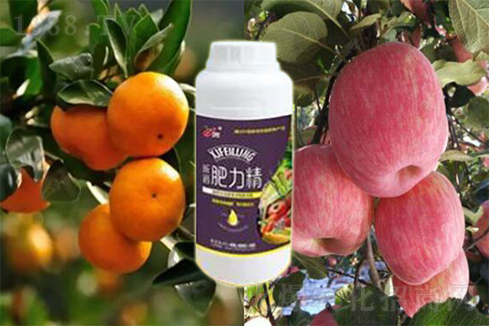 ����׷�ʏ�(f��)�Ϸʺ�߀�����غ����ܶ��˶��e�������������_�x��