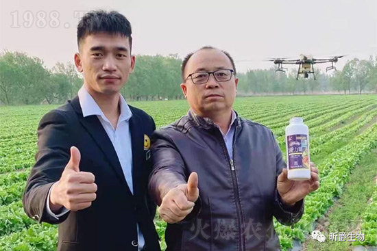 ����׷�ʏ�(f��)�Ϸʺ�߀�����غ����ܶ��˶��e�ˣ����������_�x��