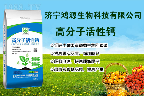 ����(sh��)ȱ�}��ô�k������(sh��)�����}�ăɂ�(g��)�߷��ڣ�