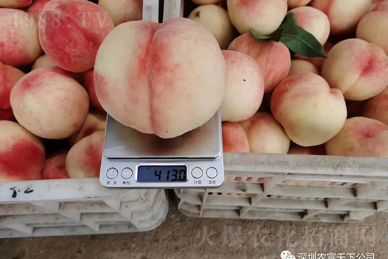 �Ҙ������ô�k���Ҙ����ԭ���A(y��)������