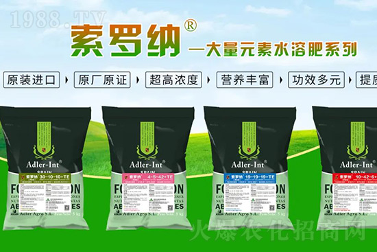 �ͺϷʝq�r���� �����@�׿�߶��M�����ͷʅs�����Ј����G�G��