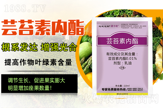 �|̦�؃�(n��i)����ɶ���Q��ֲ�����ˎ���|̦�؃�(n��i)����ô�x��