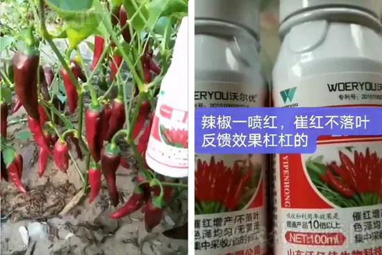 ���t�����95%���߼t�����~�����뷭�׷�����������һ���t��